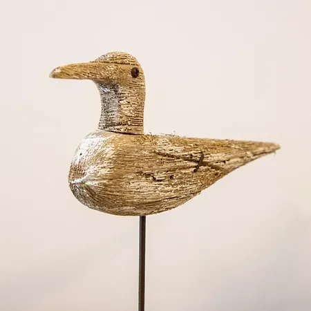 Casamare Montesilvano Marina